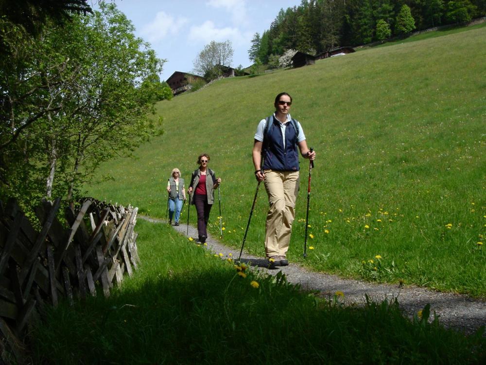 Hotel Gasthof Kroell - Inkl Nationalpark-Karte, 1 X Grossglockner Hochalpenstrasse Kostenlos, Verschiedene Bergbahnen Kostenlos, Badesee Kostenlos, Bus & Zug Kostenlos, Regionale Kueche Niedernsill Exterior photo